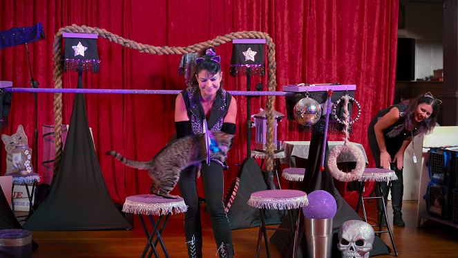Kočičí lidé - Kočičí akrobati - Z filmu