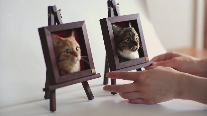 Cat People: Loucos Por Gatos - Copigato - Do filme