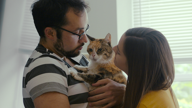 Kočičí lidé - Kočičí charita - Z filmu
