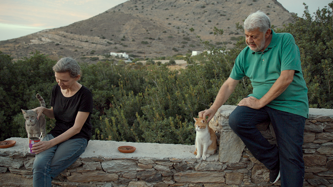 Locos por los gatos - Santuario de gatos - De la película