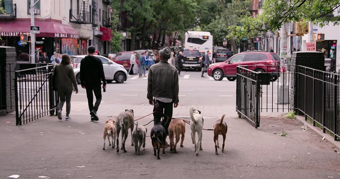 Dogs - Second Chances - Van film