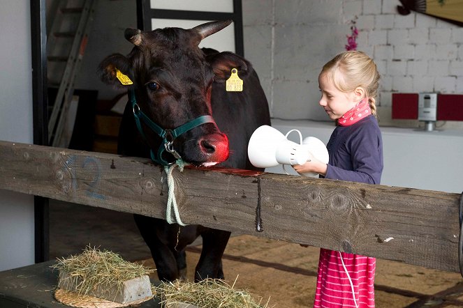 Tiere bis unters Dach - Rinderwahn - Z filmu - Tabea Hug