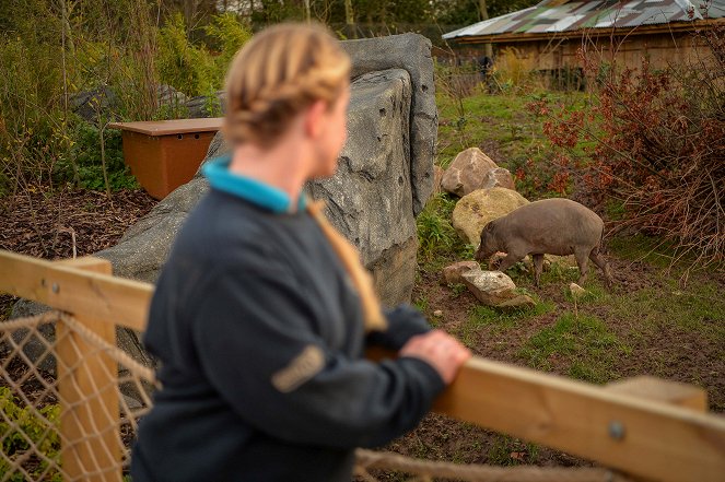 The Secret Life of the Zoo - Photos