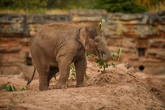 The Secret Life of the Zoo - Photos