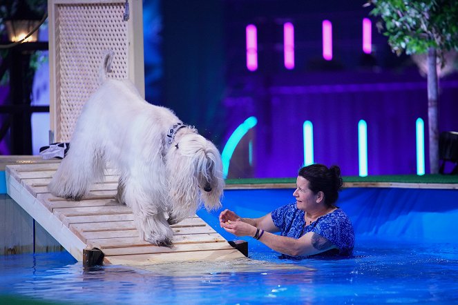 Top Dog Germany - Der beste Hund Deutschlands - Filmfotók