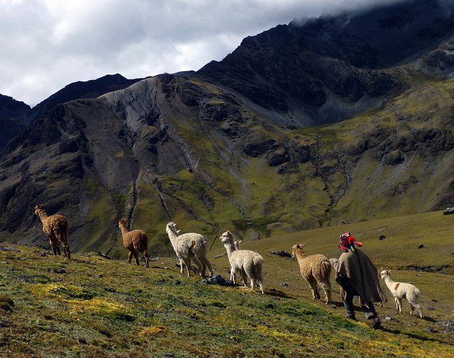 Peru - Ein Alpaka für Christobal - Z filmu