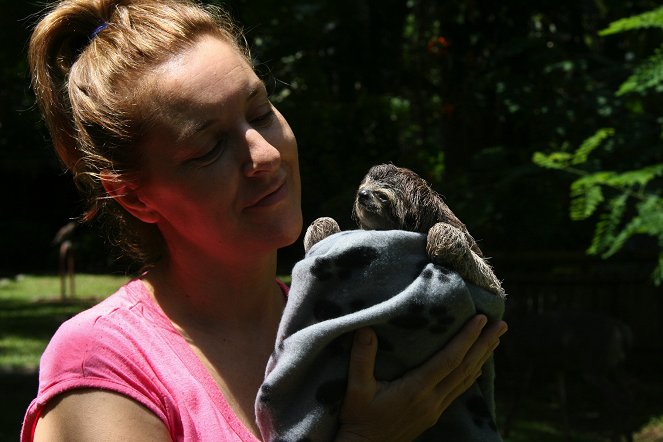 Too Slow for This World – Sloths in Costa Rica - Photos