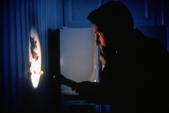 The X-Files - Salaiset kansiot - War of the Coprophages - Kuvat elokuvasta - David Duchovny