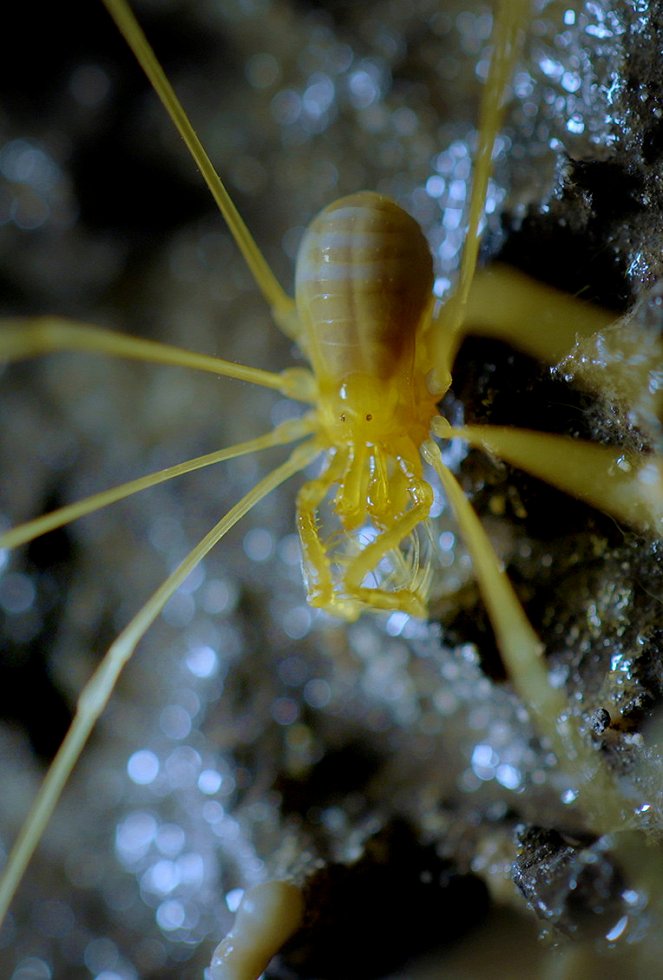 Mysteries of the Mekong - Photos