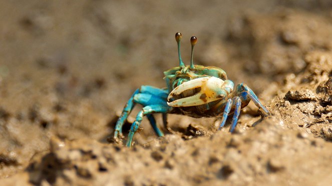 Mysteries of the Mekong - Filmfotos