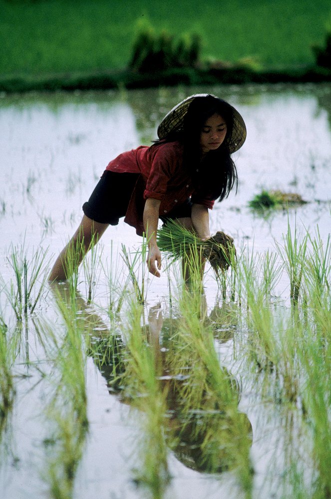 Entre ciel et terre - Film - Hiep Thi Le