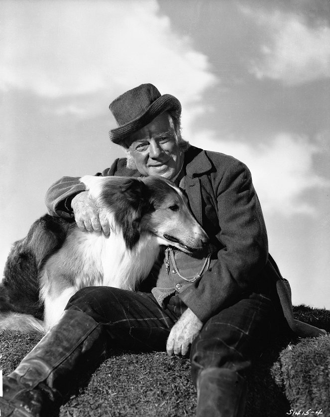 Lassie - Held auf vier Pfoten - Werbefoto