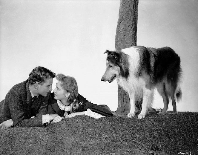 Lassie - Held auf vier Pfoten - Werbefoto