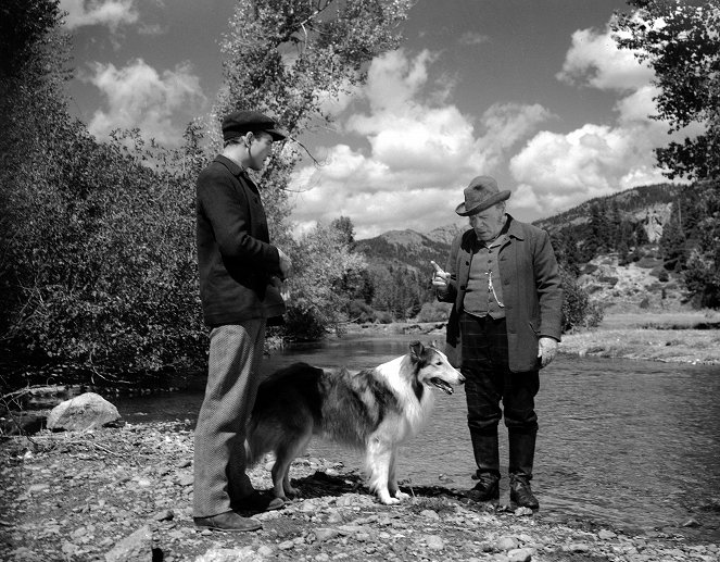 Lassie - Held auf vier Pfoten - Filmfotos