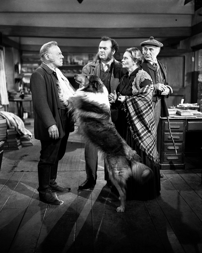 Lassie: Rodné stráně - Z filmu