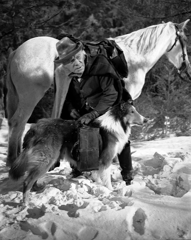 Lassie - Held auf vier Pfoten - Filmfotos