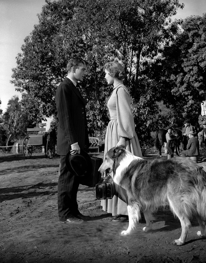 Lassie - Held auf vier Pfoten - Filmfotos