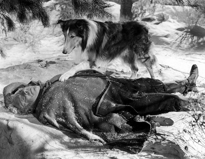 Lassie: Rodné stráně - Z filmu