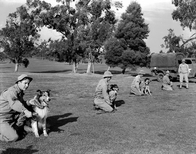 Courage of Lassie - Film