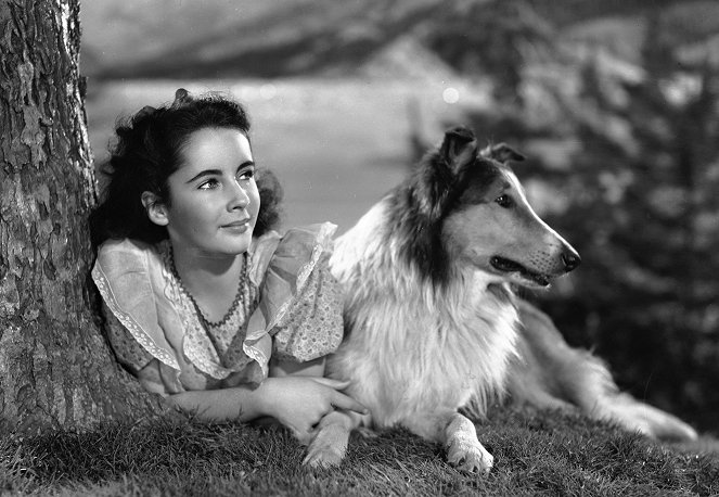 Courage of Lassie - Promo - Elizabeth Taylor, Pal