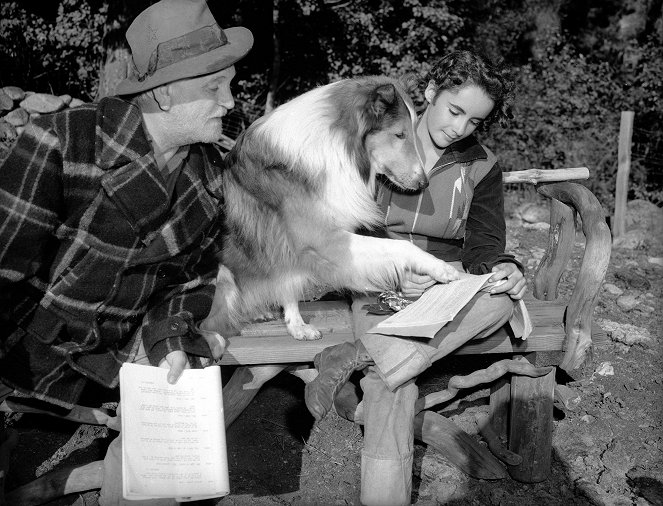 Lassie - Held auf vier Pfoten - Dreharbeiten