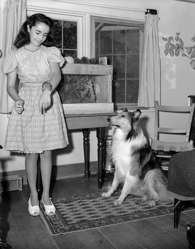 Odvážná Lassie - Z filmu - Elizabeth Taylor, Pal
