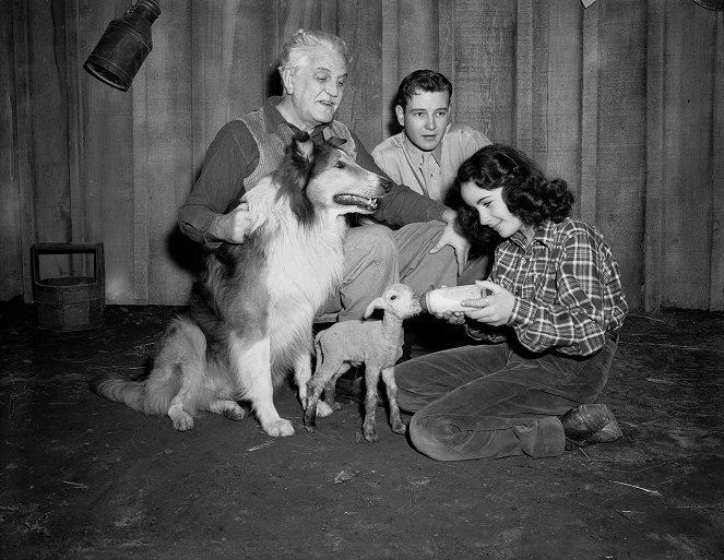 Lassie - Held auf vier Pfoten - Dreharbeiten