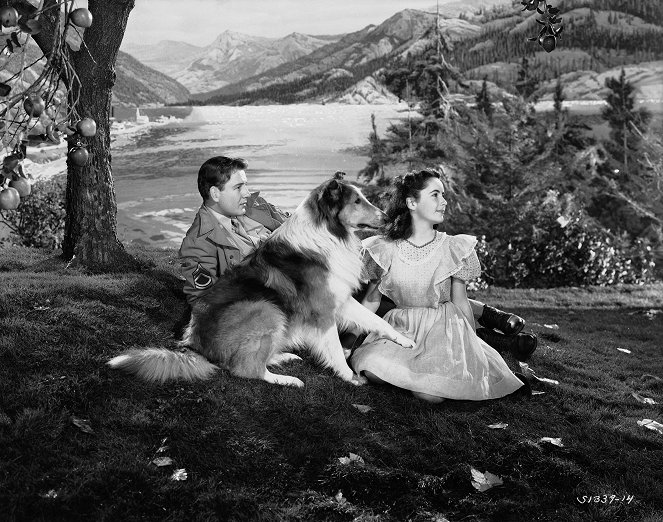 Odvážná Lassie - Promo - Tom Drake, Pal, Elizabeth Taylor