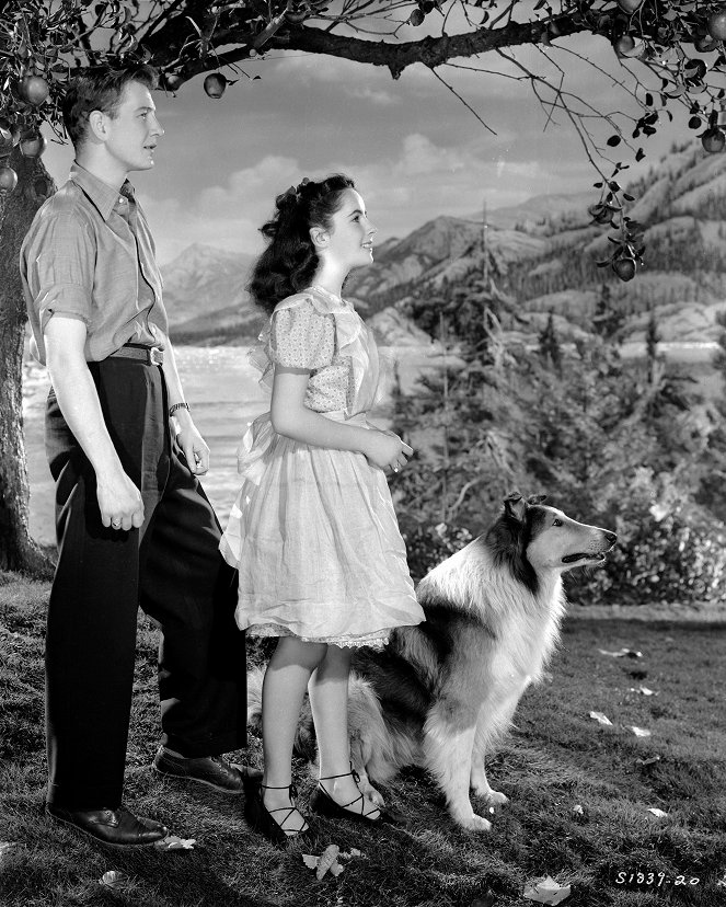 Odvážná Lassie - Promo - Tom Drake, Elizabeth Taylor, Pal