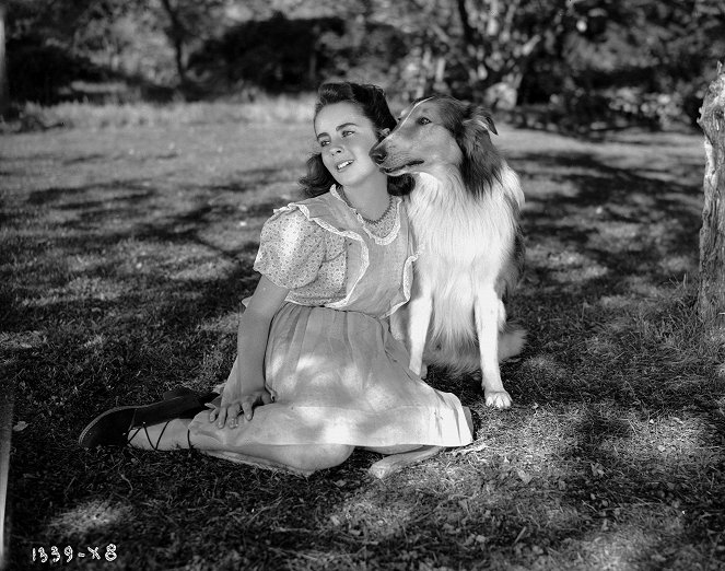 Odvážná Lassie - Z filmu - Elizabeth Taylor, Pal