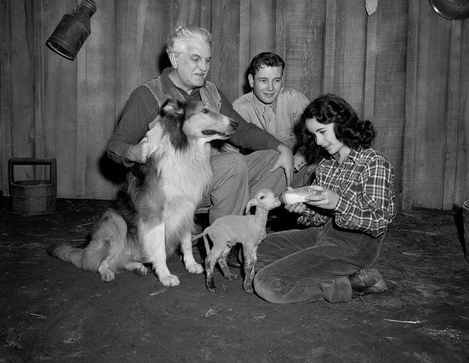 Courage of Lassie - Making of