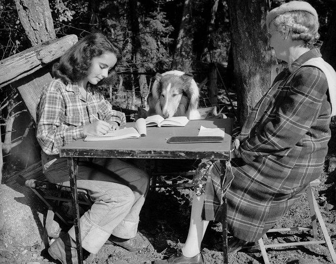 Courage of Lassie - Kuvat kuvauksista