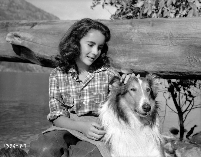 Courage of Lassie - Z filmu - Elizabeth Taylor, Pal