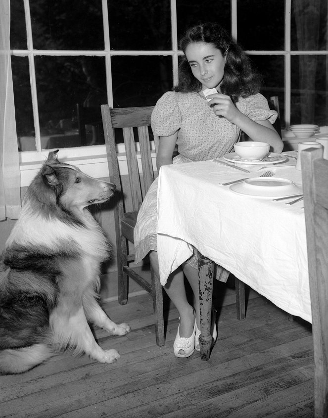 Odvážná Lassie - Z filmu - Pal, Elizabeth Taylor