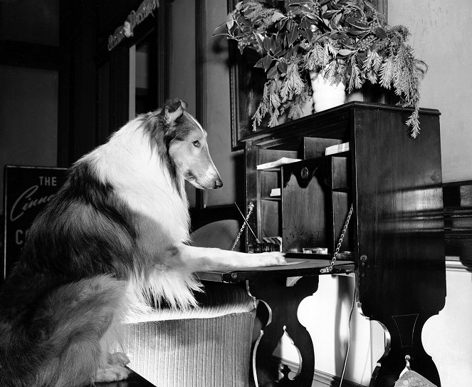 El desafío de Lassie - De la película