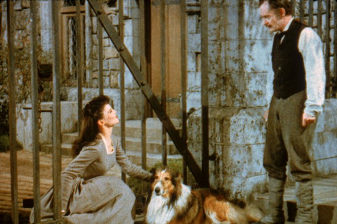 Lassie lain kourissa - Kuvat elokuvasta