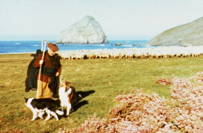 Lassie lain kourissa - Kuvat elokuvasta