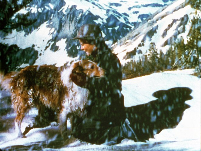 Lassie - Aranyló hegyek - Filmfotók