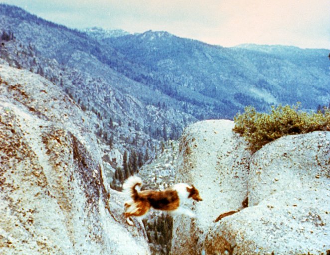 The Painted Hills - Filmfotos