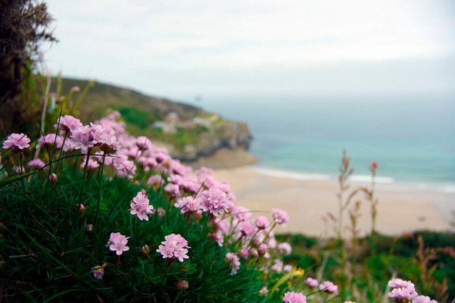 Contes des mers - Season 13 - Cornwall – Englands Sonnenküste - Film