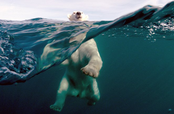 À + ou - 5 mètres de la surface des océans - Pôle Nord, un continent en sursis - Kuvat elokuvasta