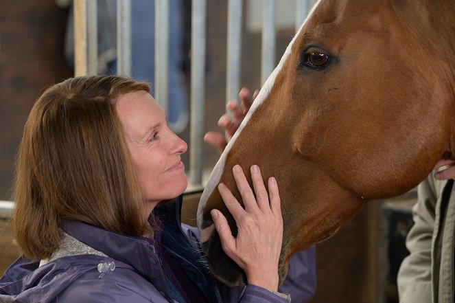 Álmaink lova - Filmfotók - Toni Collette