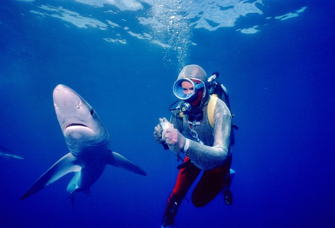 Playing with Sharks: The Valerie Taylor Story - Photos
