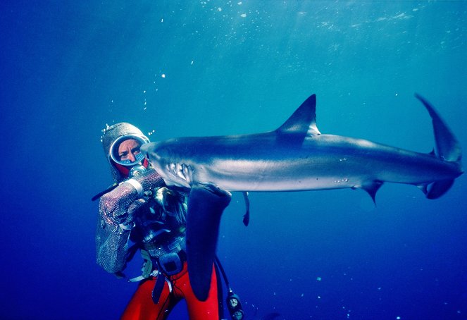 Playing with Sharks: The Valerie Taylor Story - Do filme