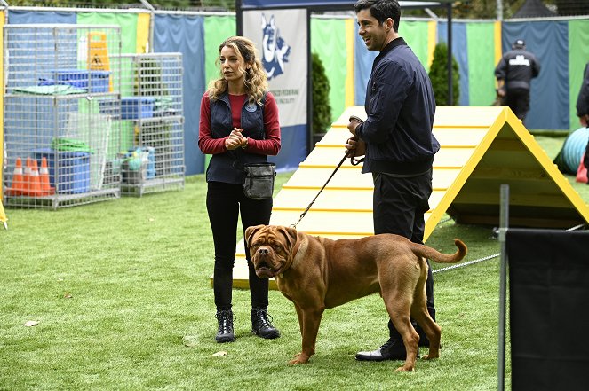 Turner & Hooch - Forever and a Dog - Photos