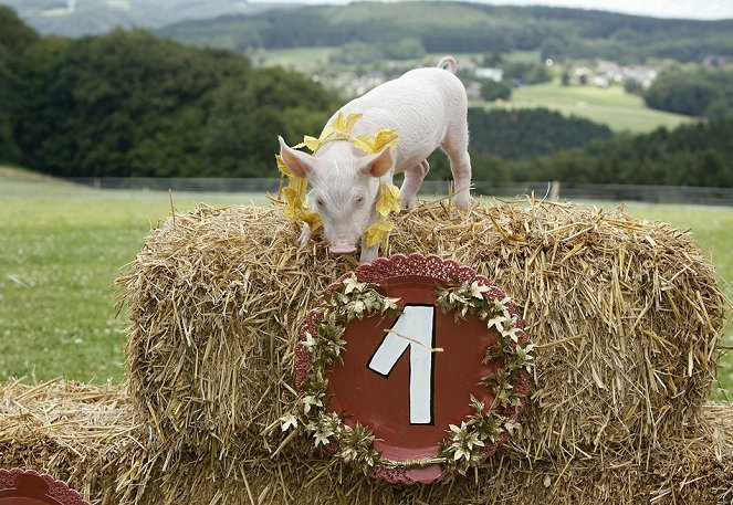 Rudi the Racing Pig - Season 3 - Photos