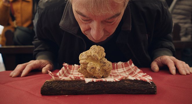 Piemonten tryffelinmetsästäjät - Kuvat elokuvasta
