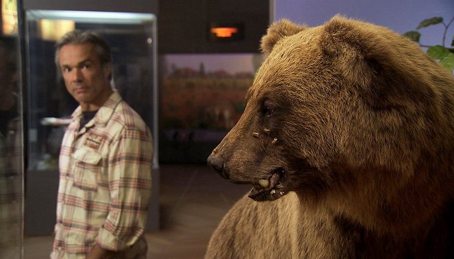 Erlebnis Erde: Bruno, der Bär ohne Pass - mit Hannes Jaenicke auf Spurensuche - Kuvat elokuvasta