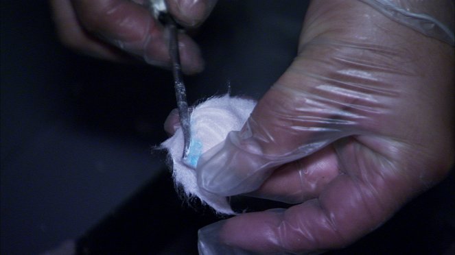 Inside Cocaine Wars - Van film