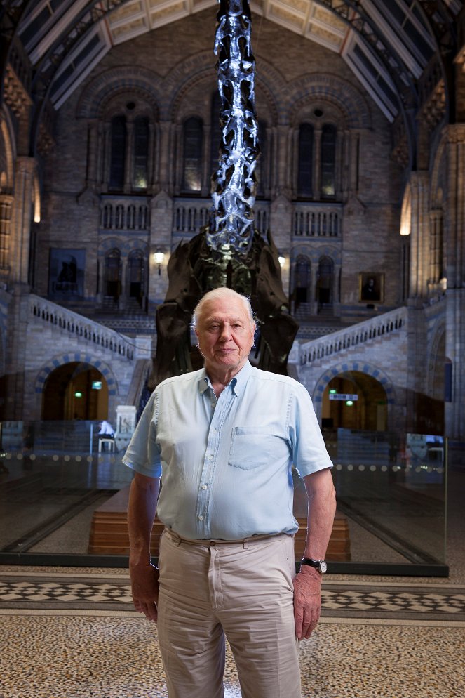 David Attenborough's Natural History Museum Alive - Promo
